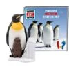 Tonies Was Ist Was - Pinguine / Tiere Im Zoo, Spielfigur -Kinder Welt Verkauf Tonies Was ist Was Pinguine Tiere im Zoo Spielfigur@@1667595